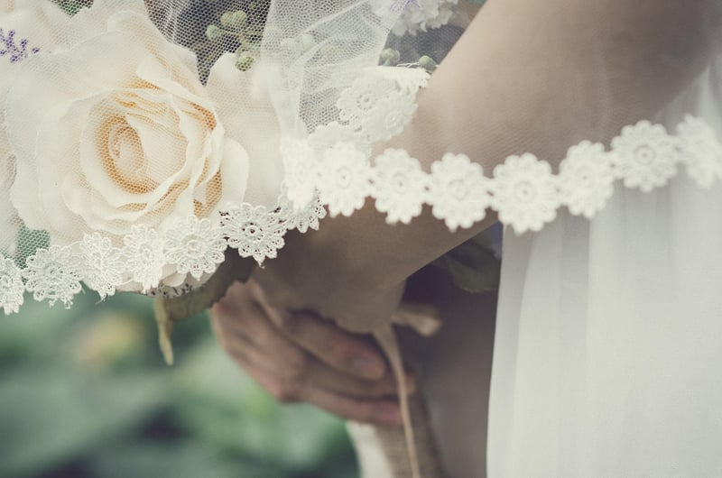 Fairy Wing Veil